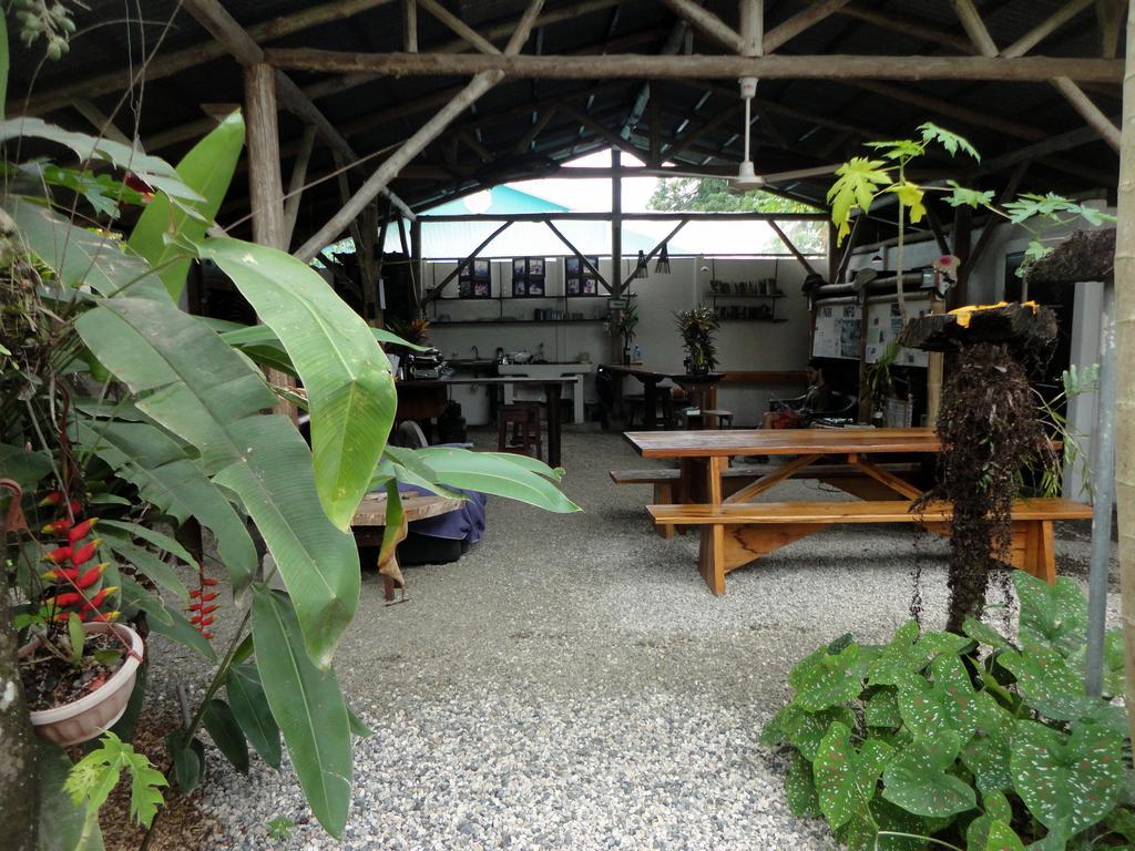 Cabinas Tropicales Puerto Jiménez Eksteriør billede