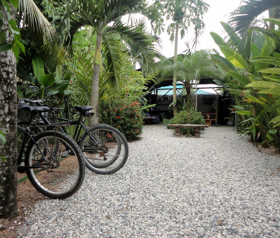 Cabinas Tropicales Puerto Jiménez Eksteriør billede