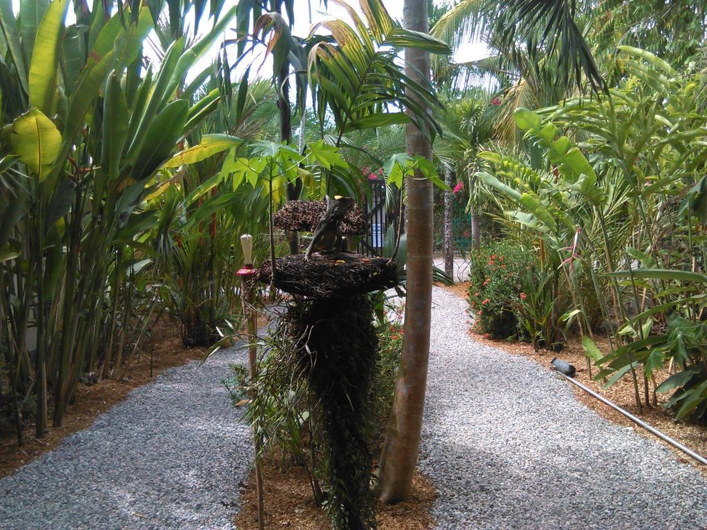 Cabinas Tropicales Puerto Jiménez Værelse billede