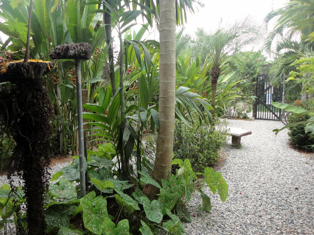 Cabinas Tropicales Puerto Jiménez Eksteriør billede