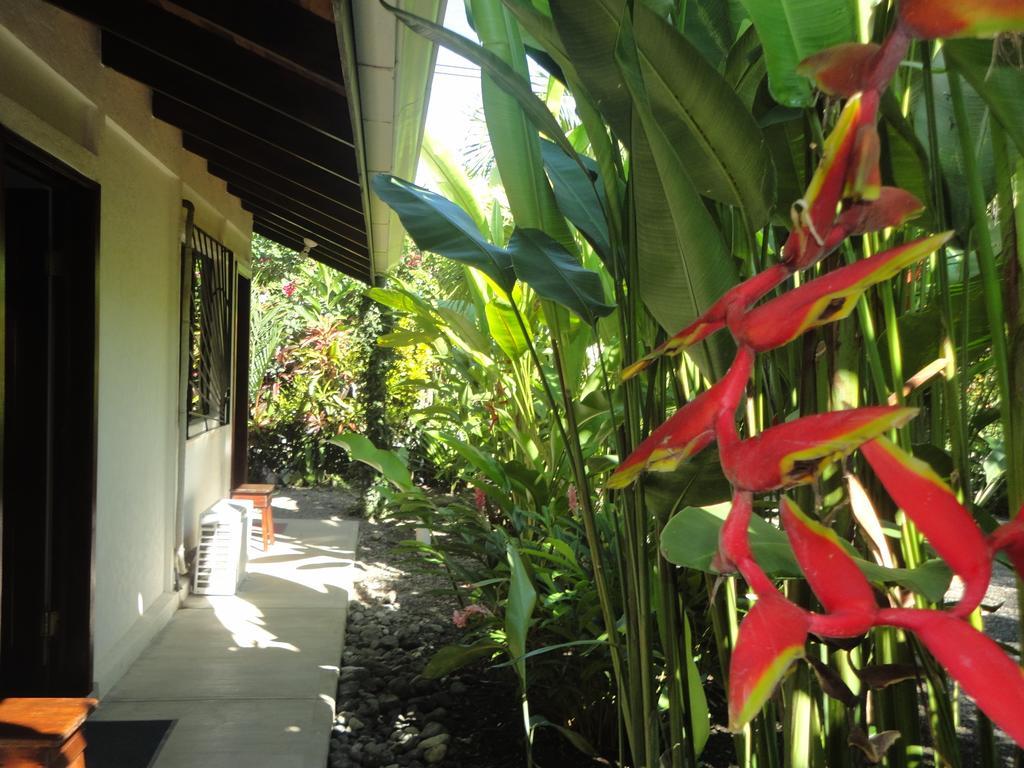 Cabinas Tropicales Puerto Jiménez Værelse billede