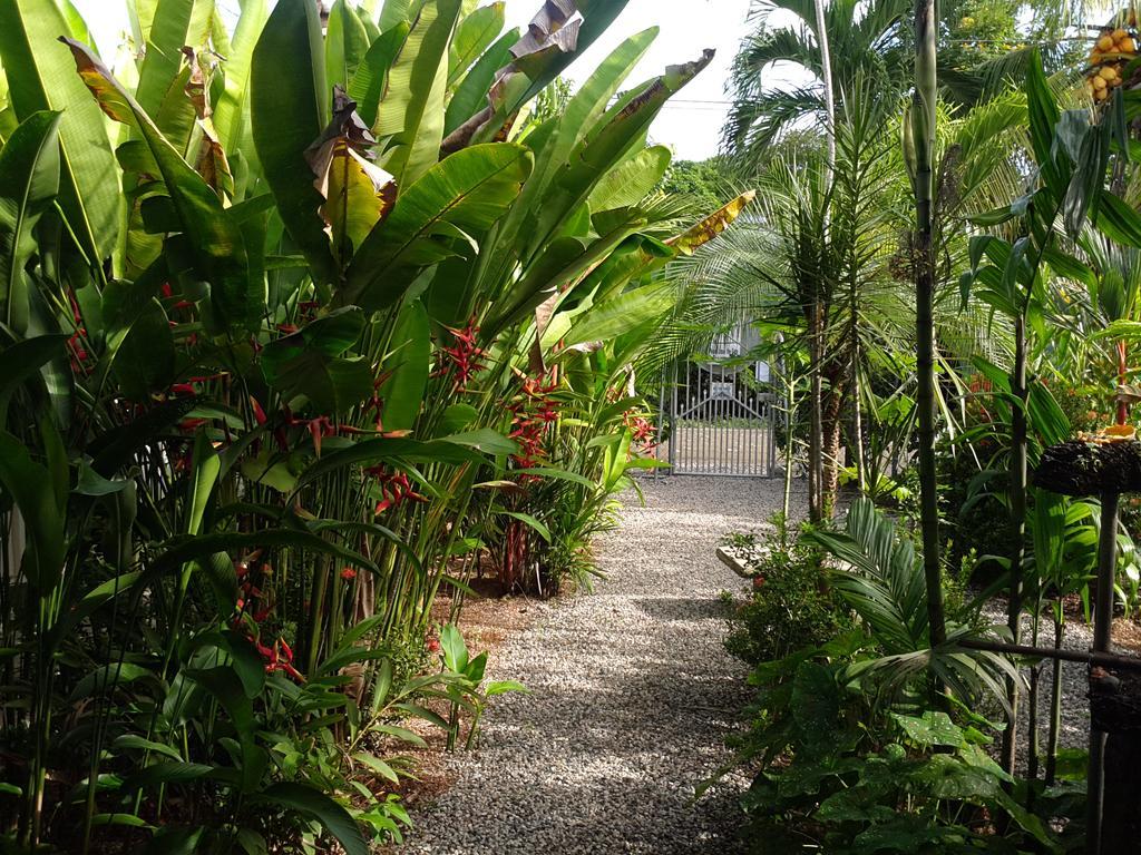 Cabinas Tropicales Puerto Jiménez Eksteriør billede