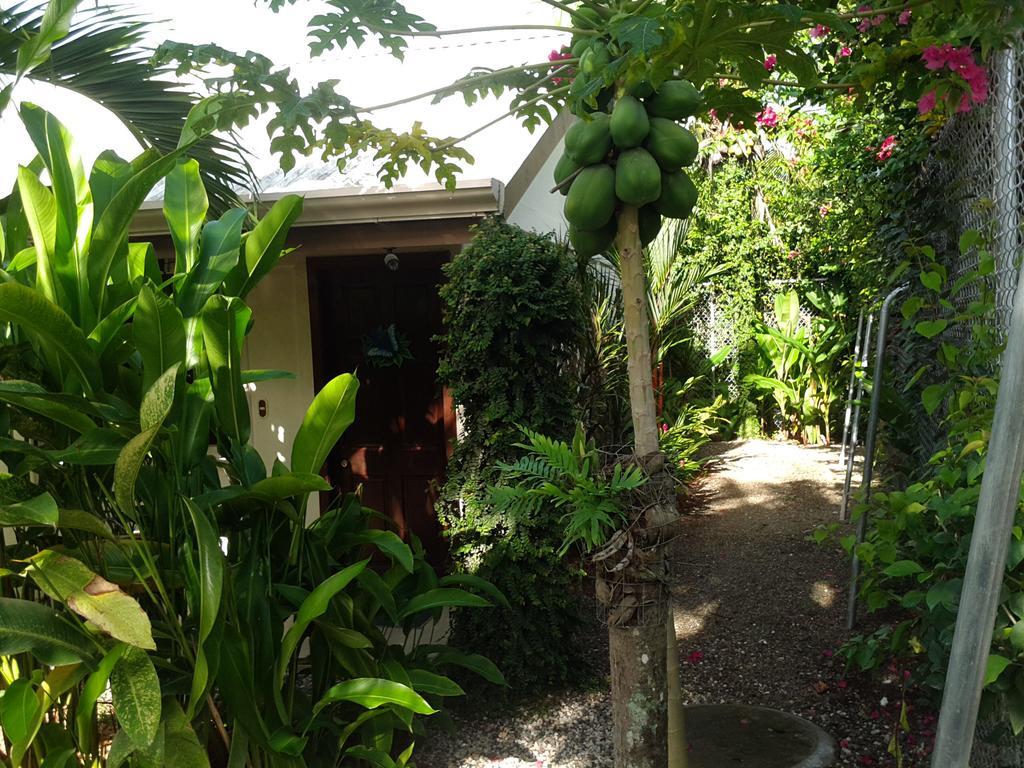 Cabinas Tropicales Puerto Jiménez Eksteriør billede