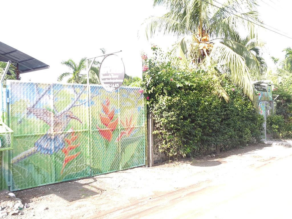 Cabinas Tropicales Puerto Jiménez Eksteriør billede